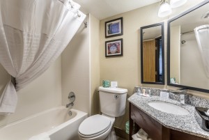 Comfort Inn & Suites Albuquerque - Guest Bathroom